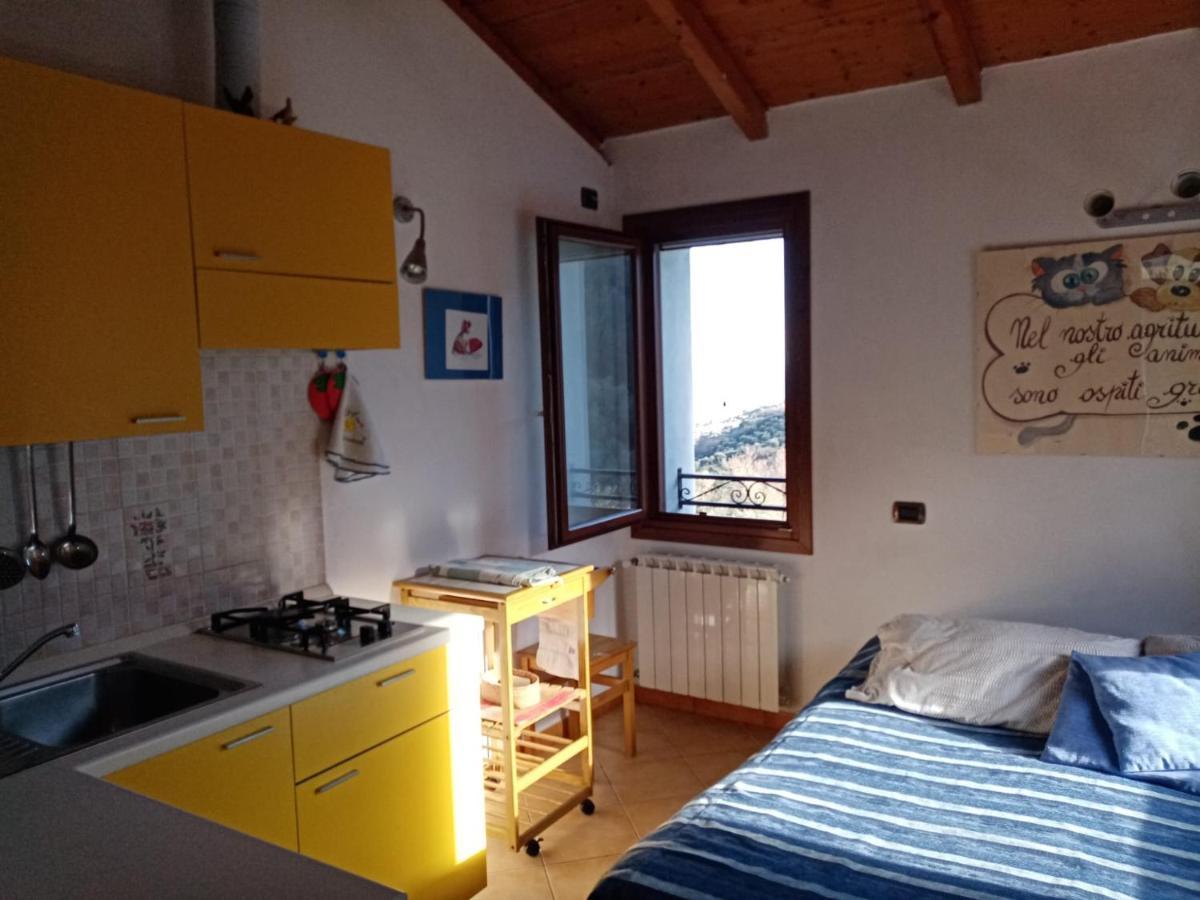 Ferienwohnung Agrisport Ca Di Cuni Roncagli Exterior foto